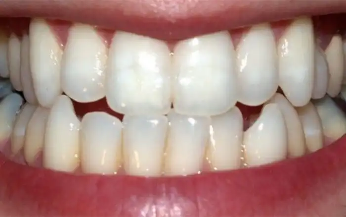 Факты о майя, которые точно вас удивят