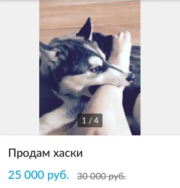 комментарии из социальных сетей.