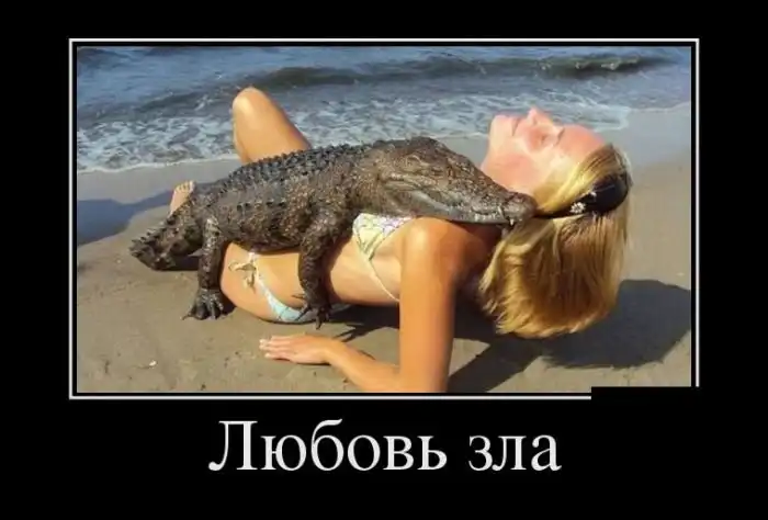 Демотиваторы (24.05.16)