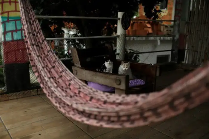 Как дешево съездить на Олимпиаду в Рио