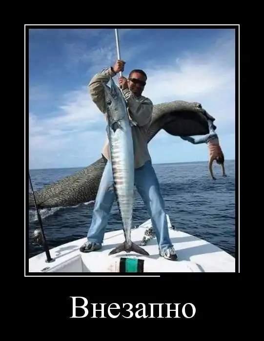 Демотиваторы (04.05.16)