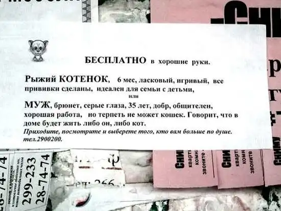 Да не оскудеет рука дающего: чего только не отдают даром люди