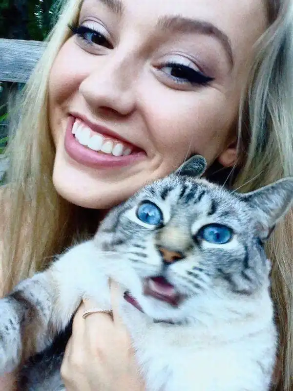 Когда твой кот не любит фотографироваться