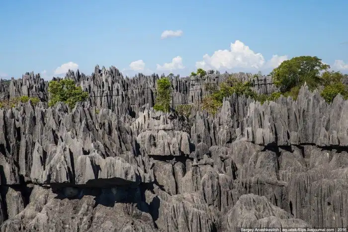 Это стоит увидеть своими глазами! Каменный лес Цинги