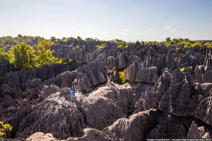Это стоит увидеть своими глазами! Каменный лес Цинги