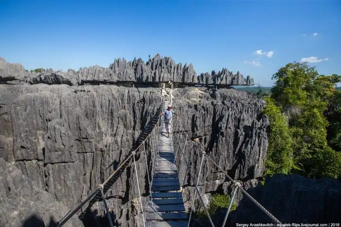 Это стоит увидеть своими глазами! Каменный лес Цинги