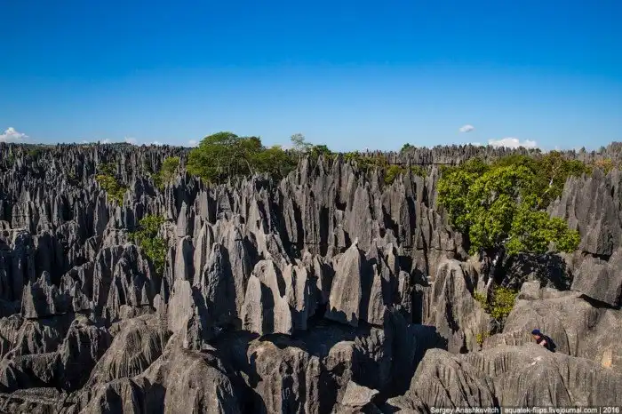 Это стоит увидеть своими глазами! Каменный лес Цинги