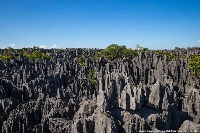 Это стоит увидеть своими глазами! Каменный лес Цинги