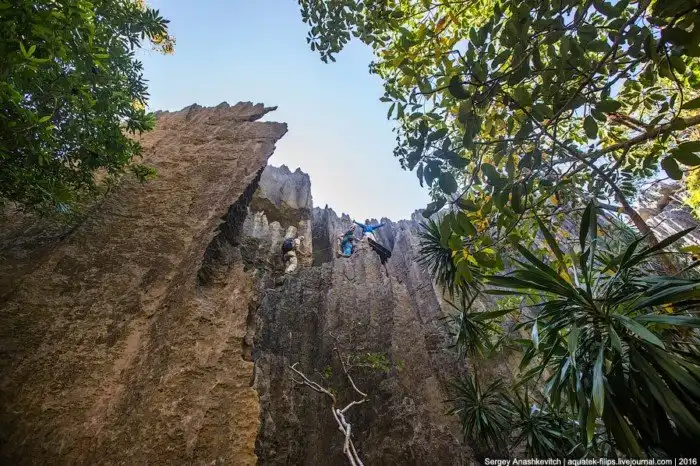 Это стоит увидеть своими глазами! Каменный лес Цинги