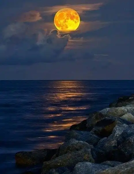 Соляночка =3