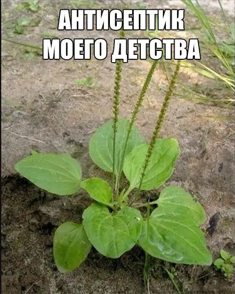 Позитивный пост+124