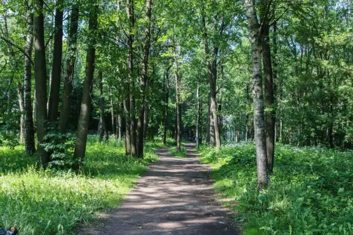 Кризис-фигизис: мы нашли дешевые столовые во всех московских аэропортах