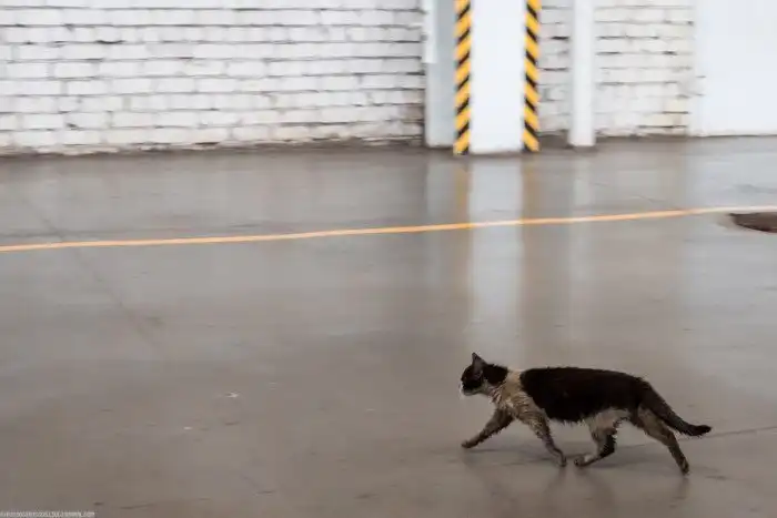 Как в Татарстане строят корабли. Зеленодольский завод имени А. М. Горького