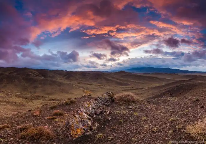 Суровая Монголия