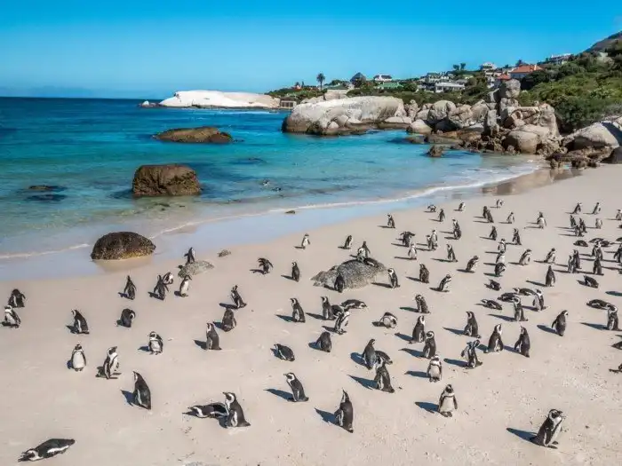 Лучшие пляжи этого лета