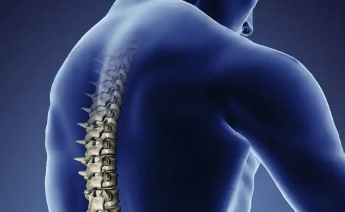 Все, что нужно знать о болях спины