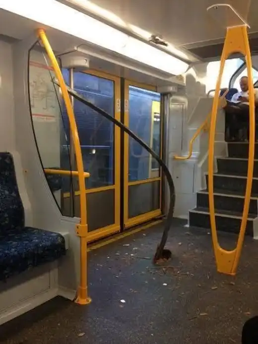 Инцидент в австралийском поезде