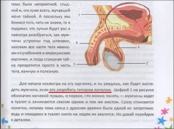Половой акт — Википедия Половой акт — Википедия