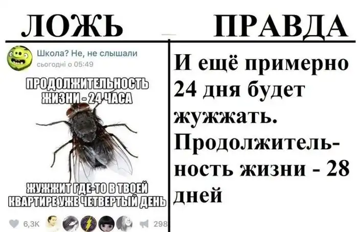 Правда и ложь в популярных пабликах «ВК»