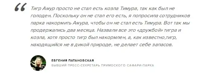 Бывший пресс-секретарь Приморского сафари-парка заявила, что дружба Амура и Тимура была фейком