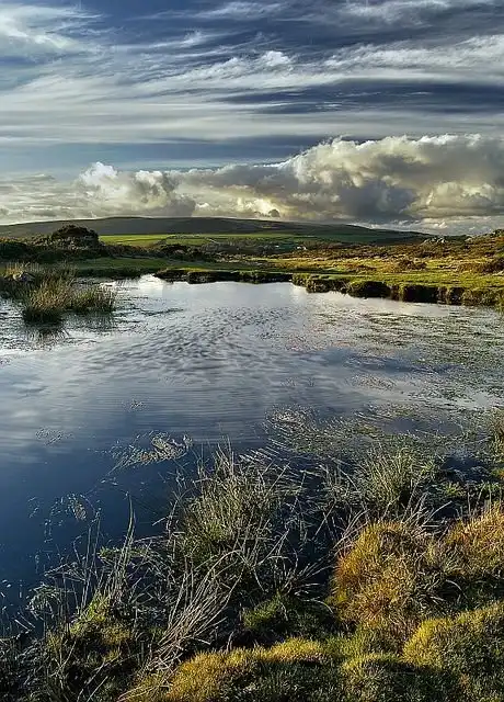 С Добрым утром!