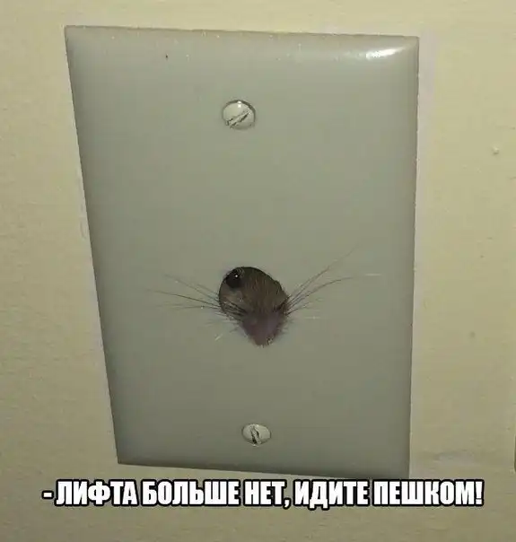 Позитивный пост+146