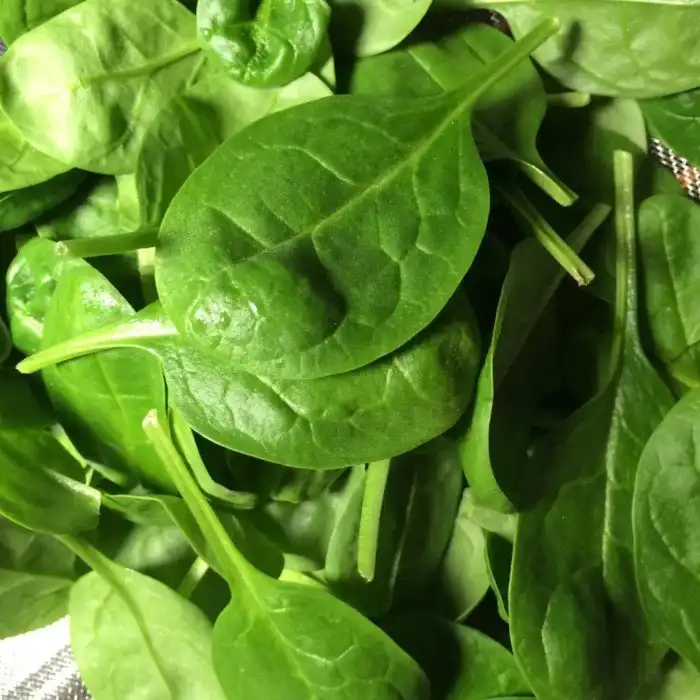 5 продуктов, способных улучшить память!