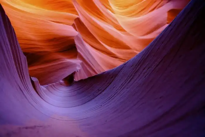 30 фотографий с фиолетовым настроением