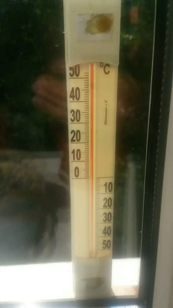 Кризисное лето: вот так проводят отпуск те, кто не заработал на поездку к морю