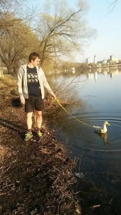 Сумасшедшие фотографии, на которых "нет ничего необычного"