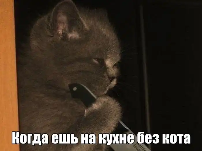 Прикольные картинки абавсём:D (10.08.16)