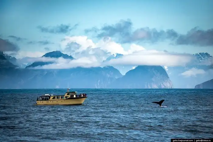 Линия перемены дат. Перелёт с Камчатки на Аляску через Тихий океан