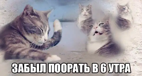 Картинко-комикс-микс