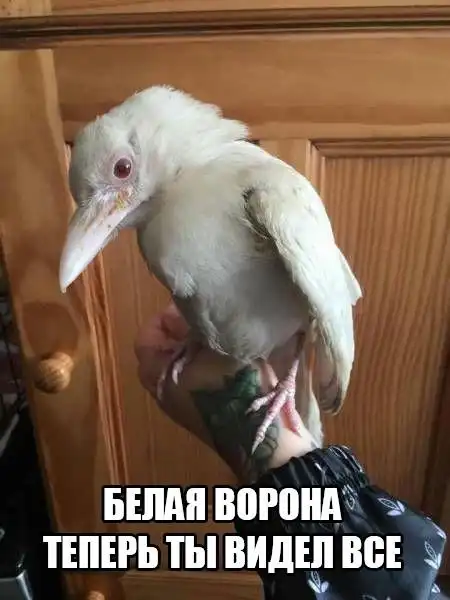 ПОЗИТИВНЫЙ ПОСТ+ 169