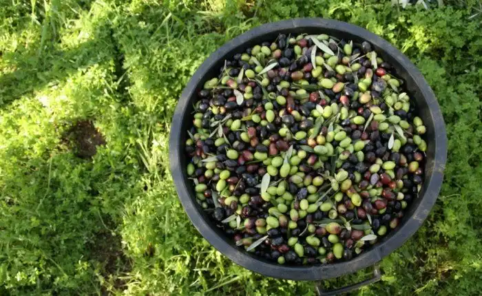 Самые популярные вещи, которые покупают в аэропортах мира