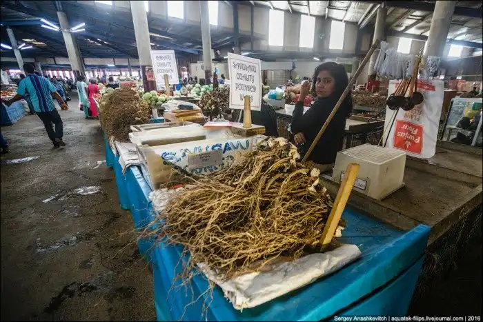 Колхозный рынок на Фиджи