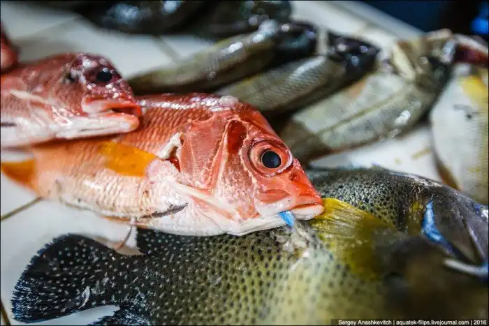 Колхозный рынок на Фиджи