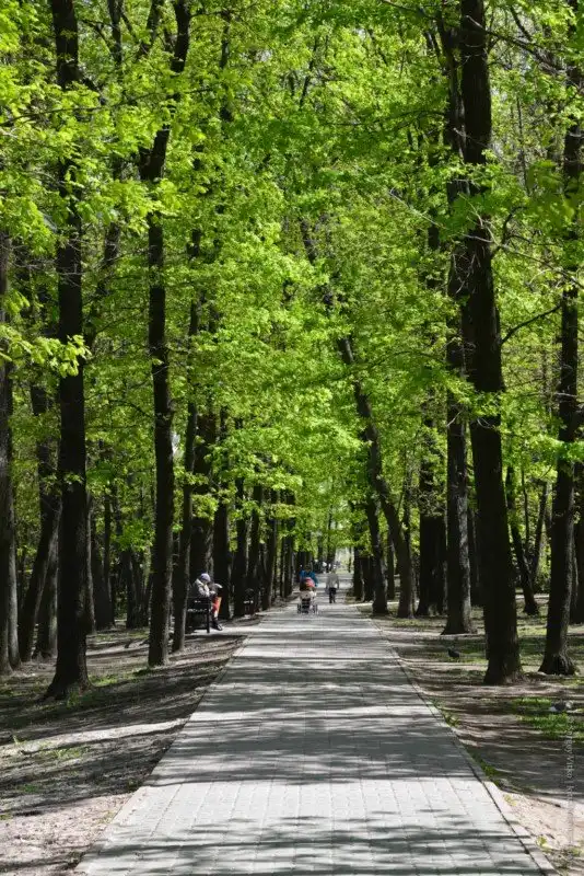 Про Белгород