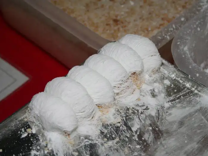 23 восхитительно вкусных блюда, которые надо попробовать в Китае