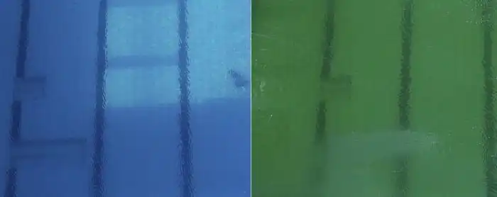 Олимпийцам пришлось прыгать в бассейн с ярко-зеленой водой