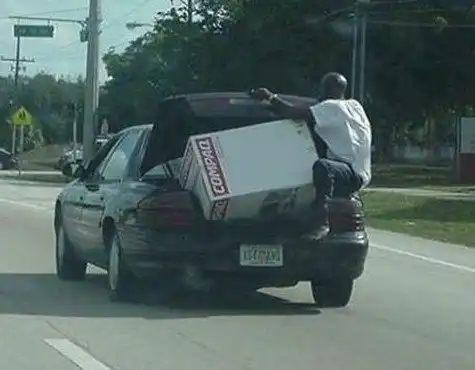 Премия Дарвина уже дожидается героев этой подборки