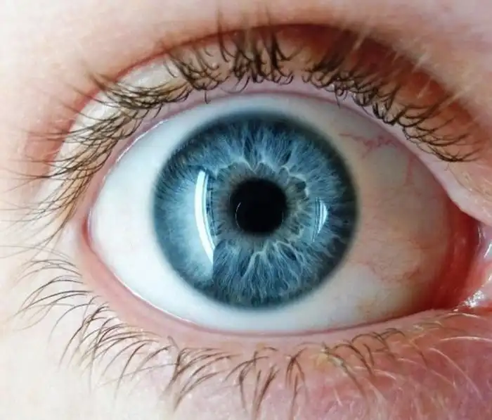 Что происходит с нашим организмом во время сна