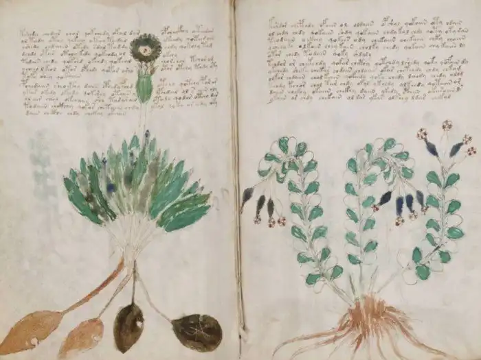 10 загадочных шифров, о которые человечество ломало мозг десятилетиями