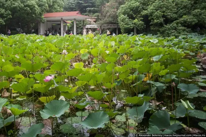 Как знакомятся в Китае