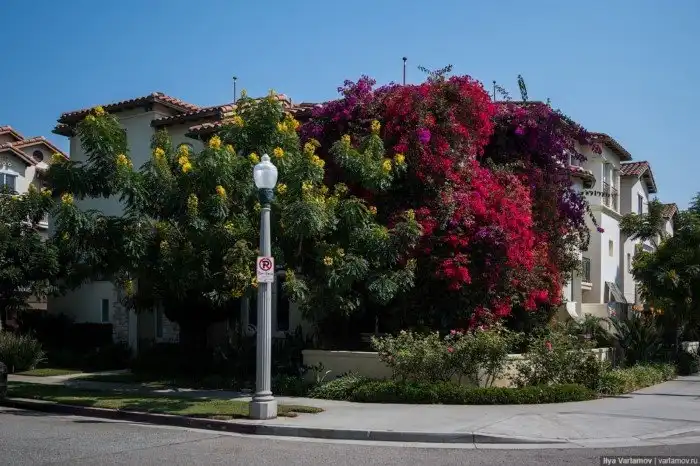 Новые районы Лос-Анджелеса. Хотели бы так жить?