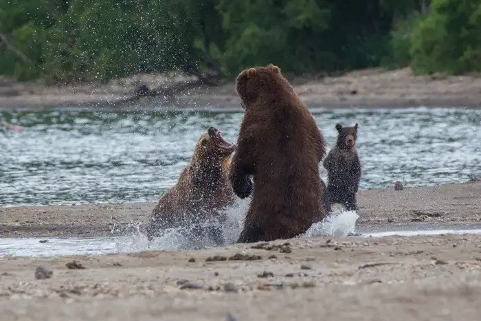 Уникальная Камчатка