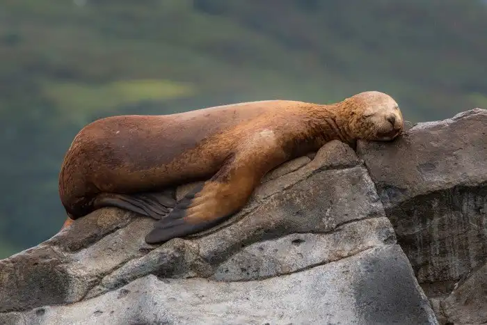 Уникальная Камчатка