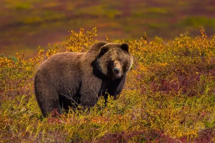 Уникальная Камчатка