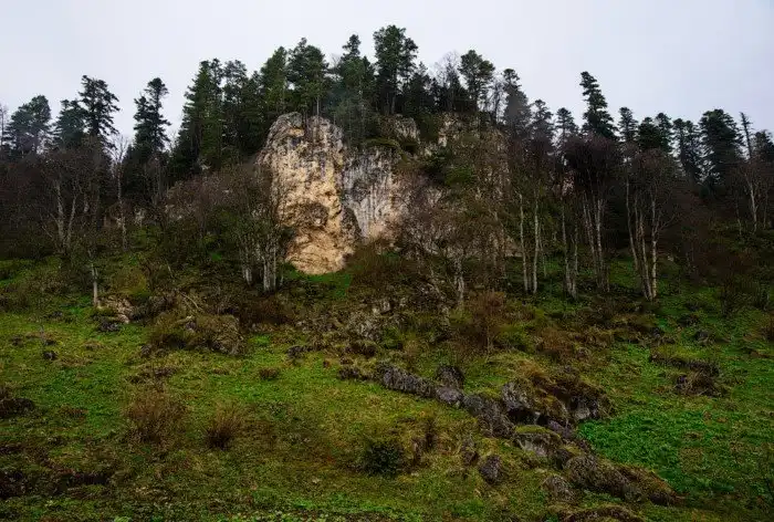 Плато Лаго-Наки на Западном Кавказе