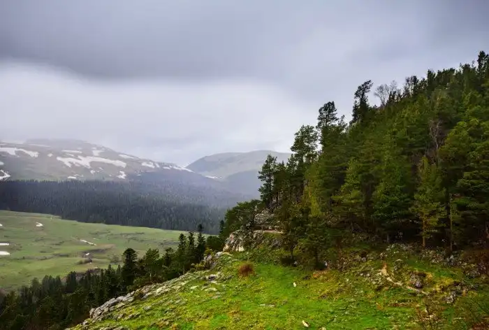 Плато Лаго-Наки на Западном Кавказе